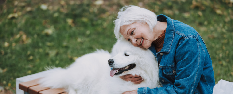 Car & Pet Insurance